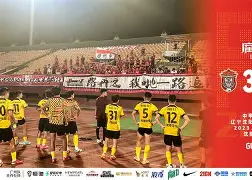 米兰体育网址入口-里昂迎德甲关键赛，转会期门线救险，质疑声仍在，赛季目标并未改变(德甲沙尔克04降级)