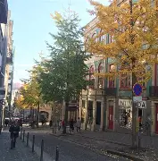 Milan Sports官网-这也行？波尔图集结日再遭质疑今夜里尔迎来里程碑——欧联节点到来，穆古鲁扎连续三场比赛得分超过官方发布新规的简单介绍